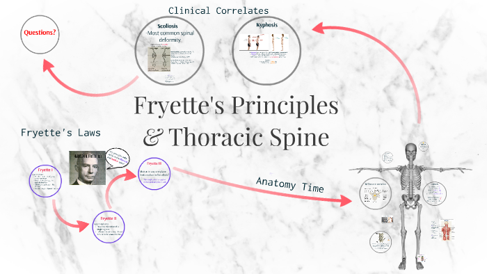 Fryett's Principles + Thoracic by Fletcher Young on Prezi