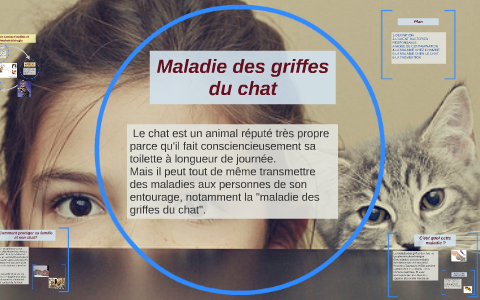 maladie griffe de chat symptomes