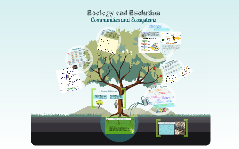 Ecology and evolution jobs wiki