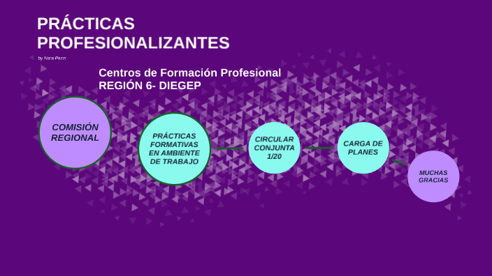PrÁcticas Profesionalizantes By Nora P On Prezi 3437