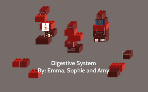 Digestive System by on Prezi