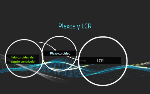 Tela coroidea del cuarto ventrículo by Luis Vargas on Prezi Tela coroidea del cuarto ventrículo by Luis Vargas on Prezi