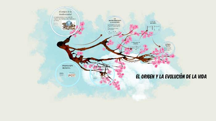 EL ORIGEN Y LA EVOLUCIÓN DE LA VIDA by susana gonzález palma on Prezi