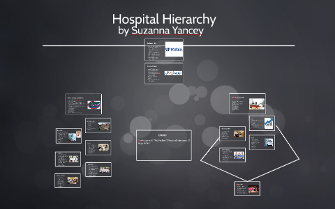 Hospital Hierarchy by Suzanna Yancey on Prezi