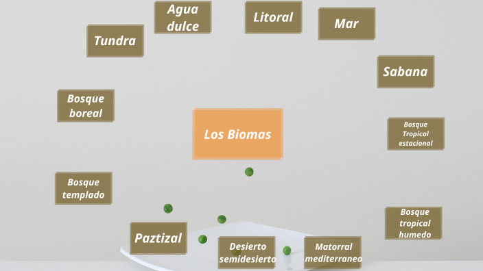 Los Biomas by María José del rayo Morales Hernández on Prezi