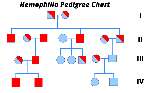 Hemophilia Statistics Charts