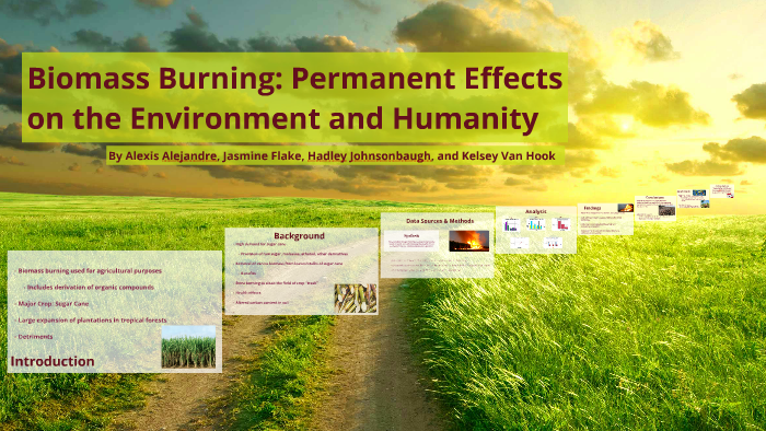 Biomas Burning: Permanent Effects on the Environment and Humanity by ...