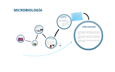 Microbiologia sanitaria by Juan Nicolas Diago Muñoz