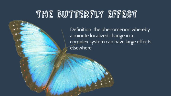 the-butterfly-effect-by-sara-cooper