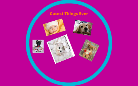 Cutest Things Ever by Brielle Belden on Prezi