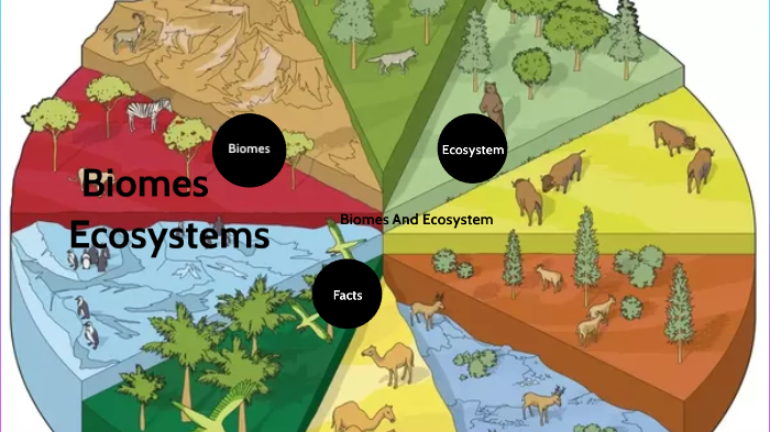 9 land. Ecosystems and Biomes. Biomes for Kids. Habitats of the World. Biom ecosystem.