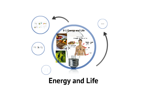 Biology Chapter 8 Section 1 Energy And Life By Mark Meredith On Prezi