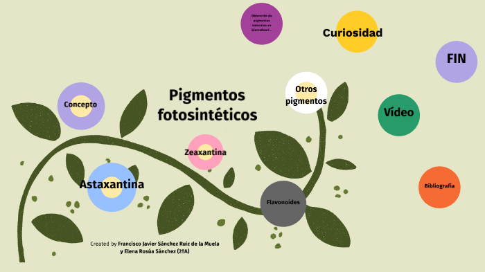 Pigmentos fotosintéticos by Elena Rosúa Sánchez
