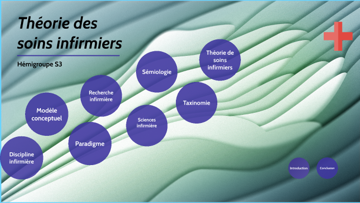 Théorie Des Soins Infirmiers By Promo 2020 2023 On Prezi 