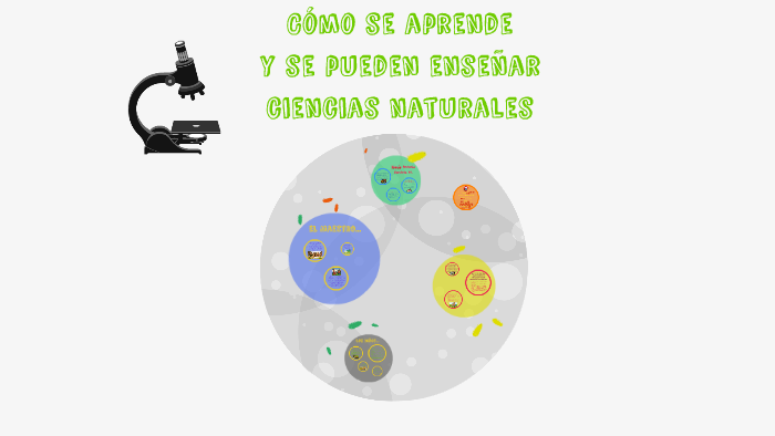 Cómo Enseñar Ciencias Naturales A Niños Con Discapacidad Intelectual