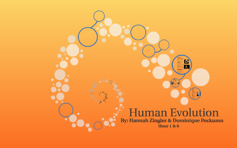 Human Evolution by Dominique Peckumn on Prezi
