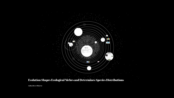 Evolution Shapes Ecological Niches and Determines Species Di by Audrey ...