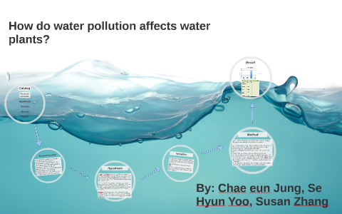 How do water pollution affects water plants. by Se Hyun Yoo