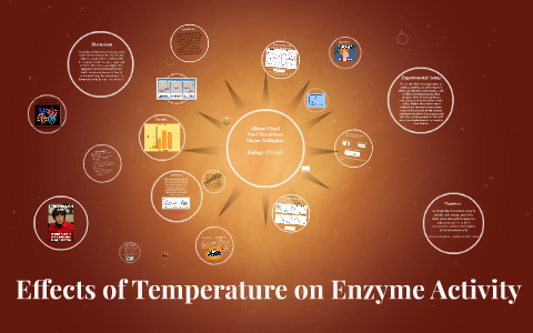 Effects of Temperature on Enzyme Activity by Ally Orzel on Prezi