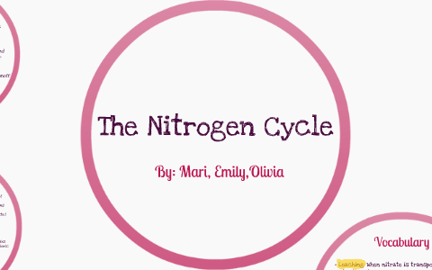 The Nitrogen Cycle by Olivia Isley on Prezi