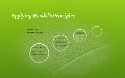 Applying Mendel's Principles by Becca Parnell on Prezi