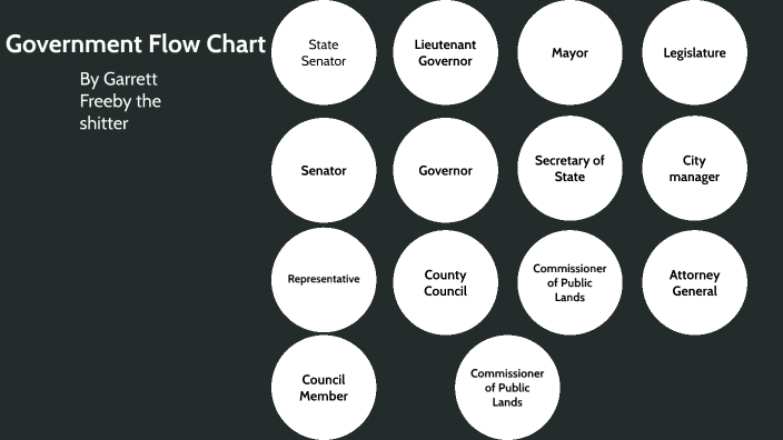 Government Flow Chart By Garrett Freeby