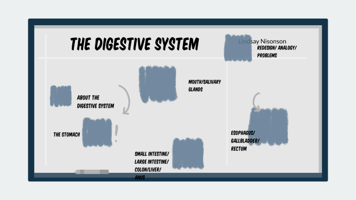 The Digestive system by Lindsay Nisonson on Prezi