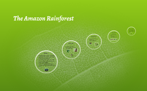 The Amazon Rainforest by Olivia Roth on Prezi