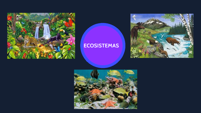 ECOSISTEMAS by Verlene Sotelo Meza on Prezi