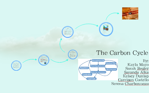 The Carbon Cycle by Saranda A on Prezi