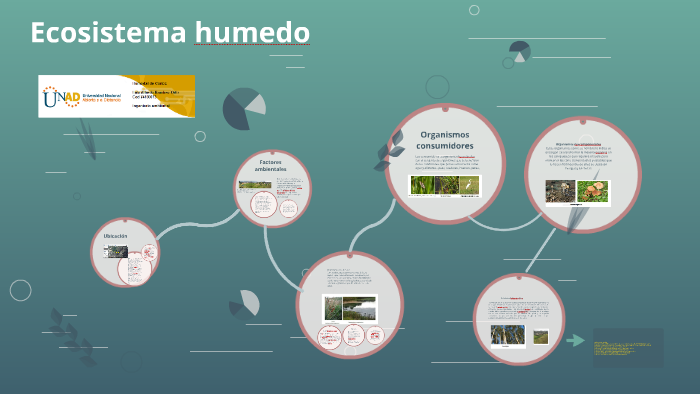 Ecosistema humedo by Luis Alfredo Ramirez Ortiz