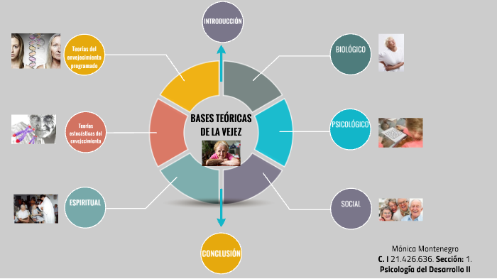 Bases teóricas del desarrollo en la vejez by Monica Montenegro on Prezi