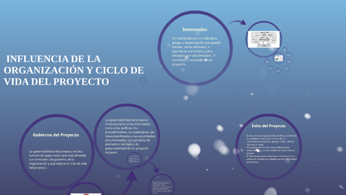 INFLUENCIA DE LA ORGANIZACIÓN Y CICLO DE VIDA DEL PROYECTO by Marvin