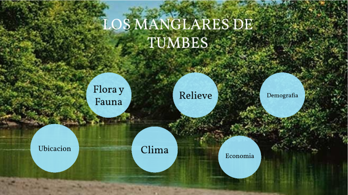 LOS MANGLARES DE TUMBES by Sebastian Periche on Prezi
