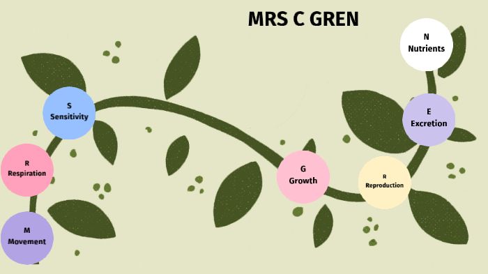 MRS C GREN By Jadeis 