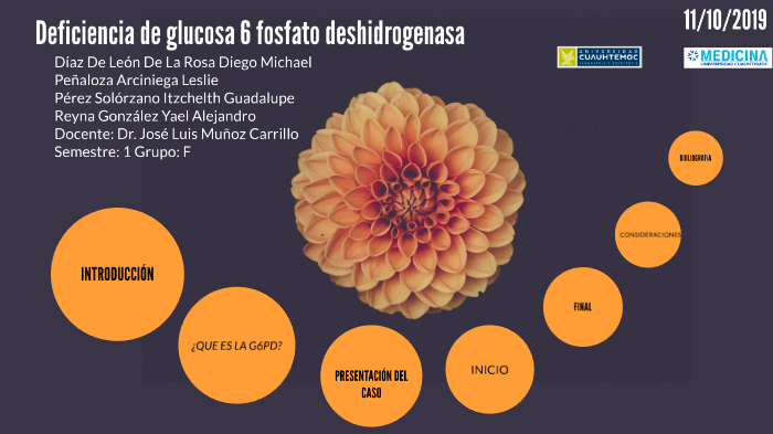 Deficiencia de glucosa 6 fosfato deshidrogenasa by GRUPO F UCA on Prezi