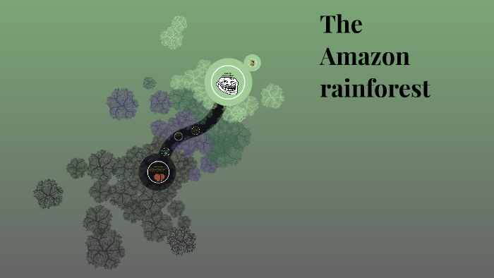 The Amazon rainforest by bro hi on Prezi