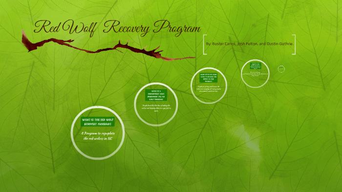 Red Wolf Recovery Program by Josh Felton0 on Prezi