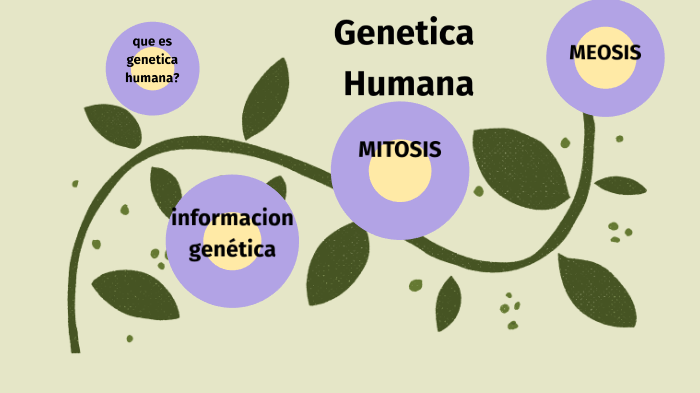 Genética humana by josselyn vera on Prezi