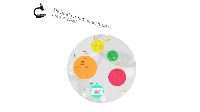 De huid en het onderhuidse bindweefsel by Gideon Jaape on Prezi