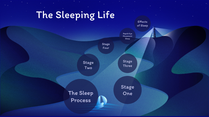 Sleep Process by Jose Pascual on Prezi