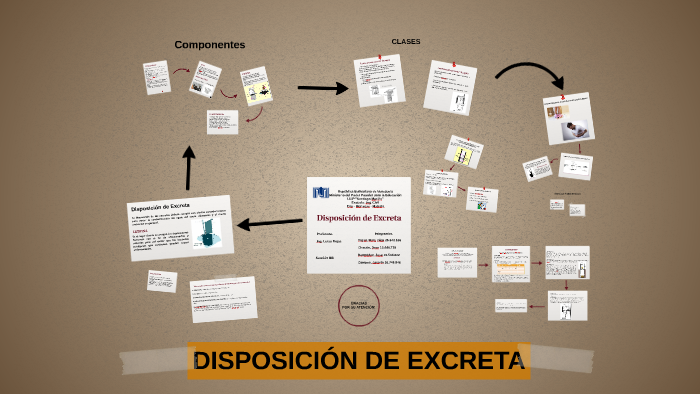 DISPOSICIÓN DE EXCRETAS by Maria Villarrollo on Prezi