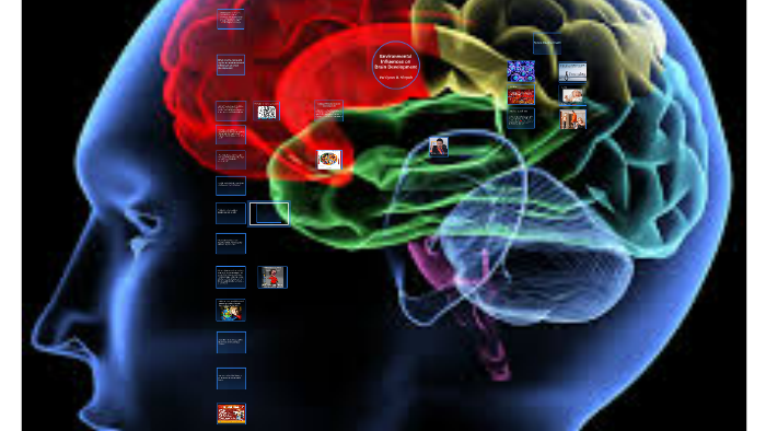 Environmental Influences on Brain Development by Val Cyrus Ningala on Prezi