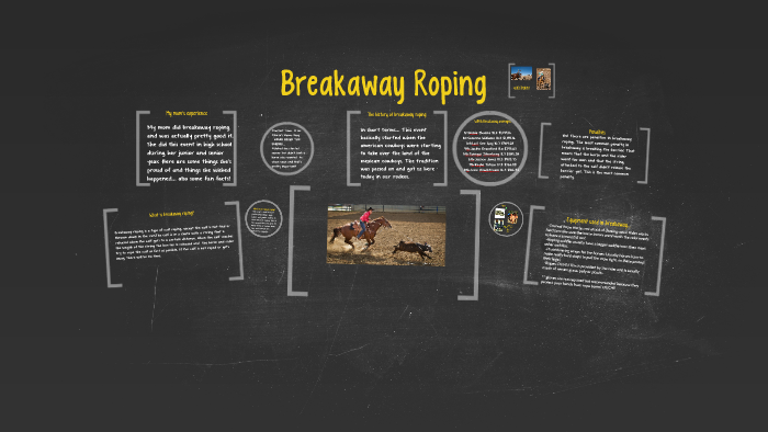 breakaway roping equipment