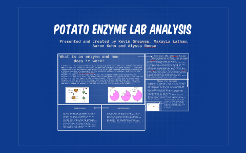 potato enzyme experiment results