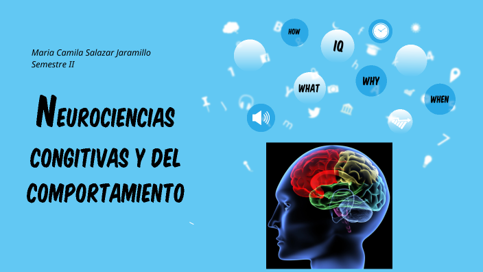 Neurociencias By Camila Salazar On Prezi