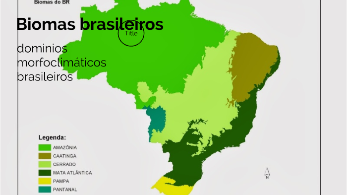 Biomas brasileiros by on Prezi