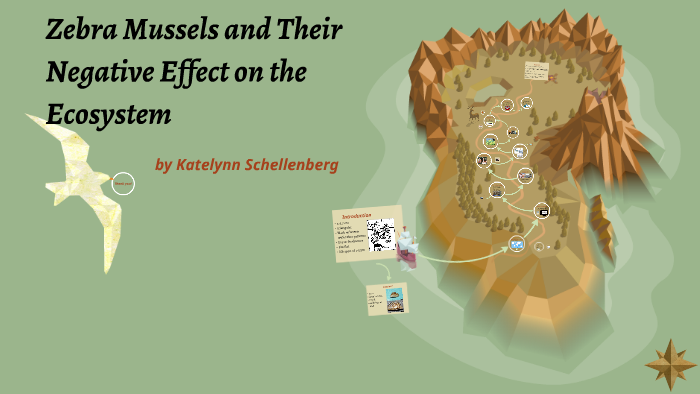 Zebra Mussels and Their Negative Effect on the Ecosystem by Katelynn