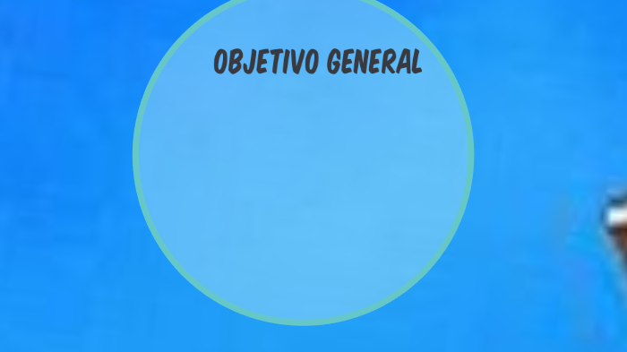Plan de Recursos Humanos Hospital Rafael Avaria Valenzuela, Curanilahue