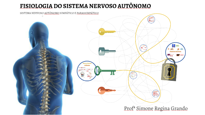 sistema nervoso autonomo